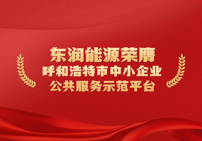 东润能源荣膺呼和浩特市中小企业公共服务示范平台